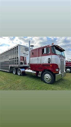 1.7K views · 58 reactions | One BadAzz Peterbilt 362 Cabover Cattle Pot from NoCoast LargeCars 掠 #mnbigrigs #peterbilt #peterbilttrucks | MN Big Rigs | Facebook