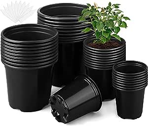 36 Pack 3.5 4 5 6 Inch Plant Nursery Pots Variety Pack Plastic Planters with Drainage Holes Flower Pots Seed Containers Pots for Seedlings Indoors Outdoors Transplanting Succulents, Black