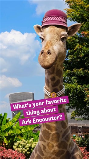 From the stunning scenery and more, visitors love the Ark Encounter and all there is to see and do. | Ark Encounter