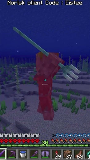 Unintentionally a Trident in my pants #shortsfeed #minecraft