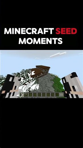 Minecraft crazy seed moments