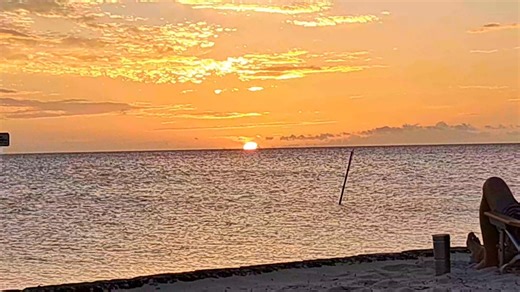 Michelle Roseberry on Reels | Facebook