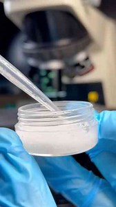 Salt-water versus bacteria under the microscope!