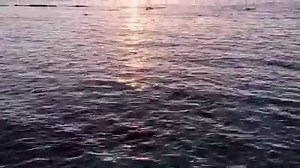 37K views · 384 reactions | Sonnige Aussichten auf ein grandioses Wochenende!☀ | ROBINSON | Facebook