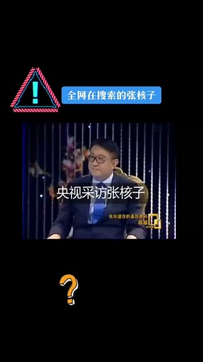 央视采访张核子