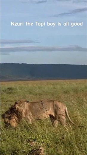 Nzuri, the Topi boy has a cut on his ribs and not sure how and where it happened in Masai Mara