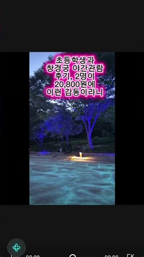 창경궁 야간관람, 2명이 20,800원에 해설까지 들었습니다