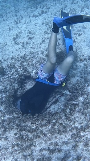 The Biggest Lobster Live in Underwater Caves | Ryan Myers Spearfishing