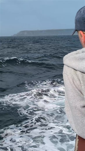 🚢 MS OLDENBURG APPROACHES LUNDY ISLAND 🚢 MS Oldenburg approaches Lundy Island on its two-hour journey from Bideford. Able to carry 267 passengers, the ferry and supply ship sails to Lundy up to four times a week from Bideford or Ilfracombe. I took this video during my first ever visit to Lundy. #Discovering #Devon #Somerset #And #Beyond #MSOldenburg #LundyIsland #Lundy #Bideford #NorthDevon | Discovering Devon, Somerset and beyond