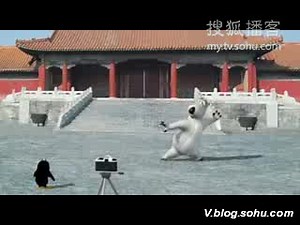 Backkom韩国倒霉熊系列06