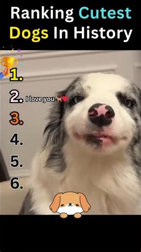 Ranking Cutest Dogs in History 🐶❤️