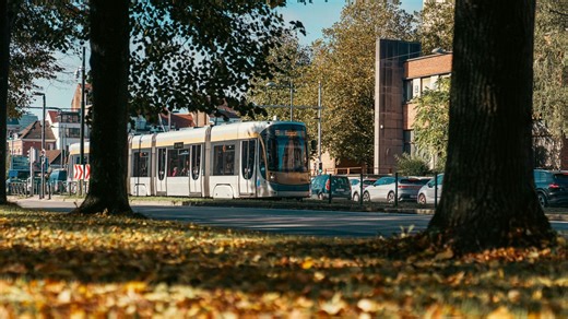 Laeken : un dépôt de trams va nécessiter l'abattage d'environ 200 arbres - RTBF Actus