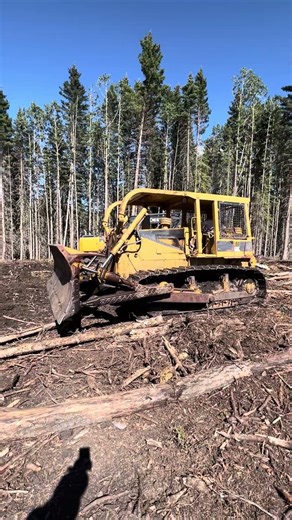 Skiddin with the 6 #caterpillar #cat #bulldozer #logging #skidder