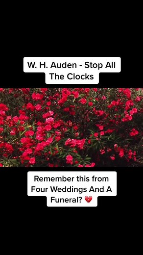 benreadspoetry on TikTok