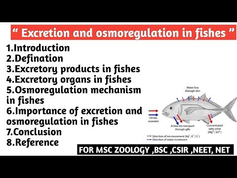 Excretion & osmoregulation in fishes | Excretory product |Excretory organ | Osmoregulation mechanism