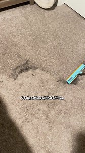 Revitalize your beloved spaces with this MIRACLE tool! The Uproot Cleaner doesn't just clean, it transforms, effortlessly removing hair that vacuums simply overlook – guaranteed. And the best part? It's versatile enough to work its magic on all fabrics. Ready to upgrade your cleaning game and enjoy a fur-free home? Get Yours Now ➡️ https://uprootclean.com/products/uproot-lint-pro | Uproot Clean