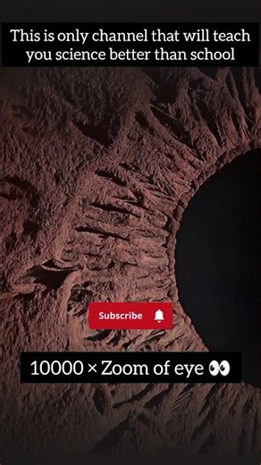Human Eye Zoomed 10000× | Incredible Details You’ve Never Seen! 🔬👁️