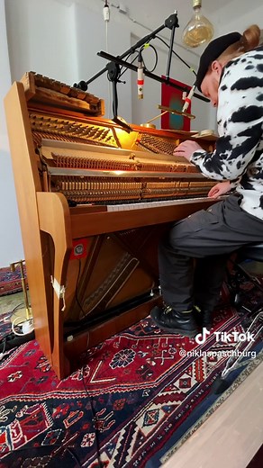 How to create a dark waltz… #niklaspaschburg #classicalmusic #pianotok #producertok #altmusic