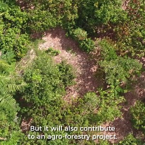 44 reactions |  Contribute to protecting earth’s biodiversity and absorbing CO2 Plant a tree today and make the world a greener and better place, one tree at a time. Join Treedom → treedom.net/en/plant-a-tree | Treedom | Facebook