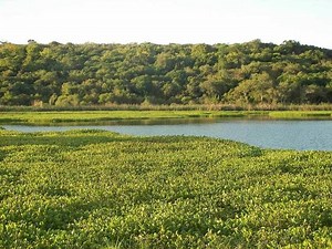 Mesopotamia, Argentina - Alchetron, The Free Social Encyclopedia