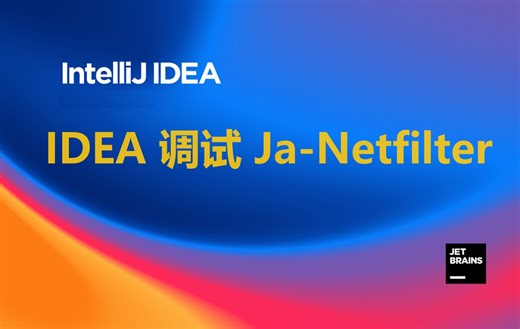 idea 调试 ja-netfilter