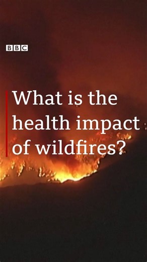 7.3K views · 100 reactions | What are the health risks of breathing in wildfire smoke? Find out more on Health Check: https://bbc.in/3WvlPum | BBC World Service | Facebook