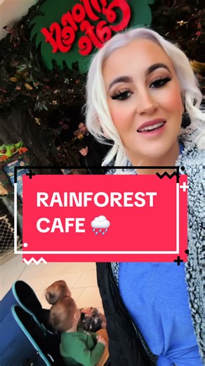 Experience the Magic of Rainforest Cafe at Mall of America