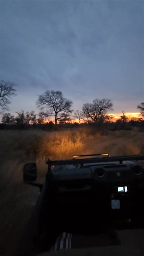 5.8K views · 108 reactions | Sunset safaris are always one of my best times. This time I was the guests and had an opportunity to relax and take it all in. #safari #wildlife #Amazing #krugernationalpark #wildlife | Shaun Etsebeth Photo Safaris | Facebook