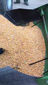 3 comments | Cleaning corn with kwik Kleen 772 Improving vom levels in corn sample | SCV Mobile Grain Cleaning | Facebook
