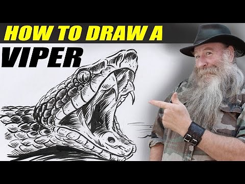 HOW TO DRAW A COTTONMOUTH (Intermediate Level)