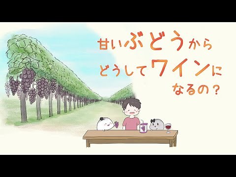 ワインの作り方 ~アルコール発酵とぶどうの醸造~
