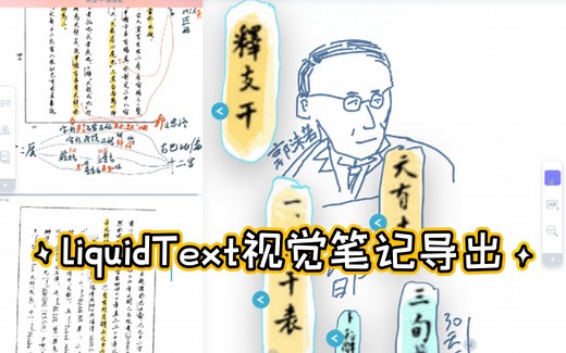 如何将liquid text视觉笔记连同PDF一起导出，同时保留跳转链接