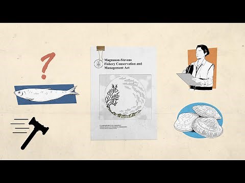 Loper Bright v. Raimondo [SCOTUSbrief]