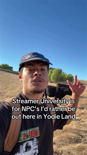 Streamer University vs Yodie Land: Which Community Wins?