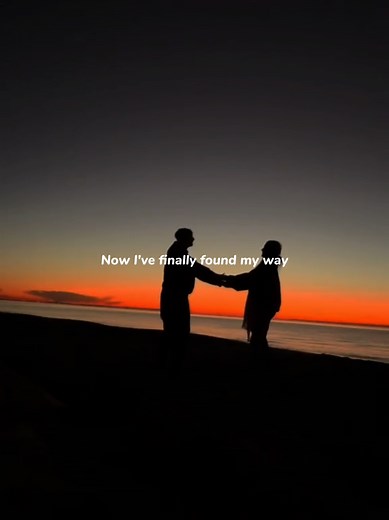 Like a rose > > > #foryou #lyrics #fyp #song #foryoupage | song with lyrics