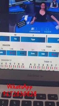 casino id hacking with software #casinohacks real or fake #dragontigergamestrategy #reddyanna