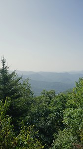 Considered an easy hike, Wet Camp Gap Trail is accessed from the Blue Ridge Parkway near the Bear Pen Gap Overlook (Mile 427.6). 🏞️ Part of a lovely, high-elevation meadow on Rich Mountain, the out-and-back hike is about three miles, with delightful wildflowers, native plants and blueberries along the way. 🌼 At the end of the trail, an overlook offers a view down the Caney Fork Valley towards Cullowhee, NC. 💙 Click here to learn more! https://jax.onl/WetCampGap | North Carolina Mountain Towns