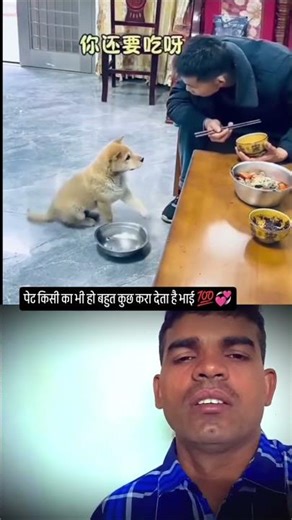 आदमी का पेट हो या किसी जानवर का सब कुछ करा देता है भाई वीडियो देखिए पूरा 💯#viralreels #animallover