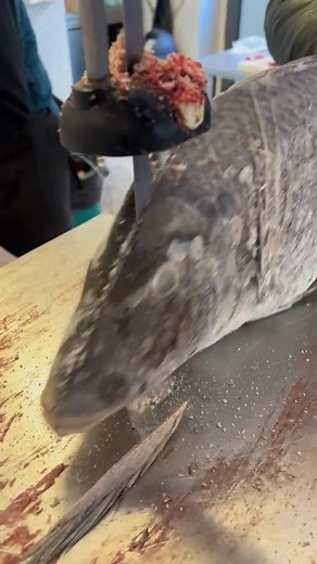 42K views · 256 reactions | The sharp cutter helps you work better | My life | Facebook