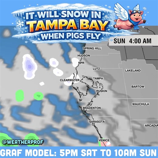 Flurry Frenzy 2026 😂 Pigs are still flying in our latest Hi-Res GRAF model. Watch as the “Gulf Effect Bands” develop in the middle of the night, and eventually squeeze out a few #snow flurries near the beaches and Tampa Bay, from New Port Richey to Clearwater to St Pete to Venice in Sarasota. Gonna be a long night 🙂 Gray=clouds. White=Snow. Pink=Mix. #Tampa #florida #cold #fyp @WFLA News Channel 8