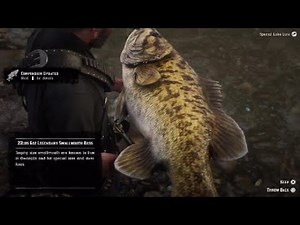 How to catch Legendary Smallmouth Bass Guide RDR2