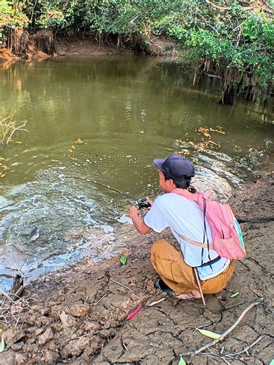 Nemu sarang toman ikan 🤣@Paradise Fishing Official #joranparadiseminion #Rodin_Turu_Angler #castingfishing🎣