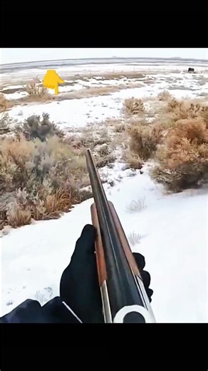 Long Range Rabbit 🐇 – One Perfect Shot!#chasse #hunting #rabbit #snowhunting #viralhunting