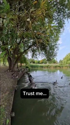 Campus Lake in Guildford | University of Surrey