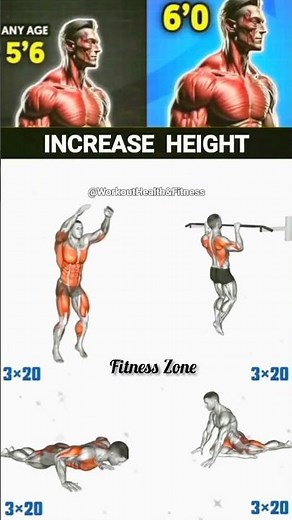 "Effective Workouts to Increase Height: Stretching and Strengthening Exercises" #fitness #height