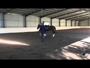 Manolo Mendez Dressage Training for Wellness: Working with the explosive young horse.