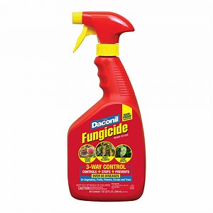 Keep fungal disease out of your garden - Daconil® Fungicide RTU