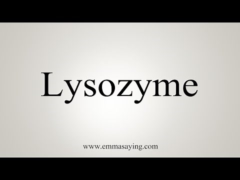 How To Say Lysozyme