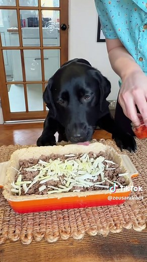 Delicious New Zealand Meat Pie Recipe