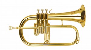 [Hot Item] High Quality Flugel Horn, Made in China, Wholesale Brass Instrument